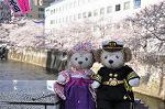 Dcim10931/DSC_5144