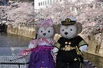 Dcim10931/DSC_5164