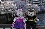 Dcim10931/DSC_5182
