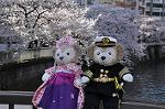 Dcim10931/DSC_5185