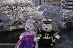 Dcim10931/DSC_5186