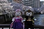 Dcim10931/DSC_5199