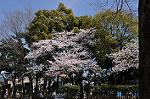 Dcim10932/DSC_5276