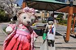 Dcim10932/DSC_5304