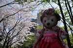 Dcim10932/DSC_5311