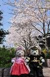 Dcim10932/DSC_5326
