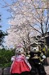 Dcim10932/DSC_5328