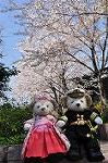 Dcim10932/DSC_5329