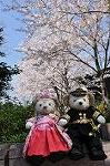 Dcim10932/DSC_5330