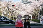 Dcim10933/DSC_5381