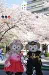 Dcim10933/DSC_5383