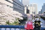 Dcim10933/DSC_5415