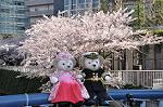 Dcim10933/DSC_5420