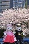 Dcim10933/DSC_5423