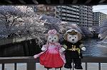 Dcim10933/DSC_5428