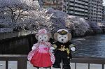 Dcim10933/DSC_5434