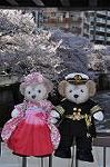 Dcim10933/DSC_5436