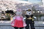Dcim10933/DSC_5451