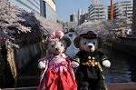 Dcim10933/DSC_5471