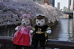 Dcim10934/DSC_5543