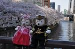 Dcim10934/DSC_5545