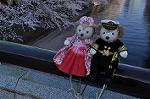 Dcim10935/DSC_5667