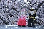 Dcim10935/DSC_5752