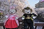 Dcim10936/DSC_5796