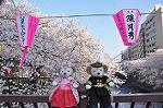 Dcim10936/DSC_5798