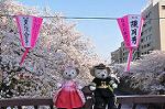 Dcim10936/DSC_5799