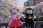 Dcim10936/DSC_5808