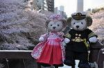 Dcim10936/DSC_5832