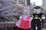 Dcim10936/DSC_5834