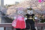 Dcim10936/DSC_5838