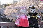 Dcim10936/DSC_5840