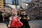 Dcim10936/DSC_5870