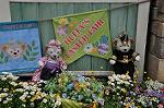 Dcim10937/DSC_5987