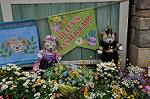 Dcim10937/DSC_5988
