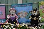 Dcim10937/DSC_5989
