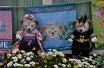 Dcim10937/DSC_5990