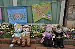 Dcim10937/DSC_5991