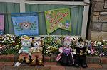Dcim10937/DSC_5992