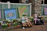 Dcim10937/DSC_5997