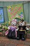 Dcim10937/DSC_6002