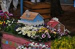 Dcim10937/DSC_6019