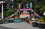 Dcim10938/DSC_6027