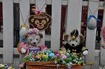 Dcim10938/DSC_6078