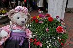 Dcim10938/DSC_6133
