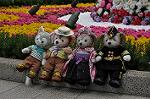 Dcim10939/DSC_6177