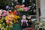 Dcim10939/DSC_6195